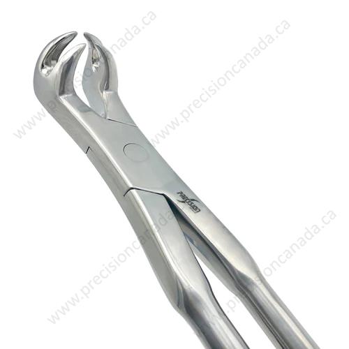MOLAR-FORCEPS-2