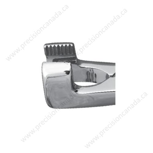 SET-OF-4-EQUINE-MOLAR-3