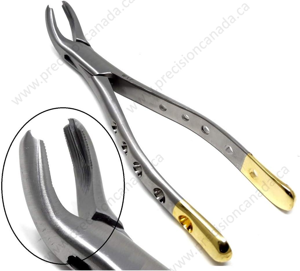 Dental Extracting Forceps