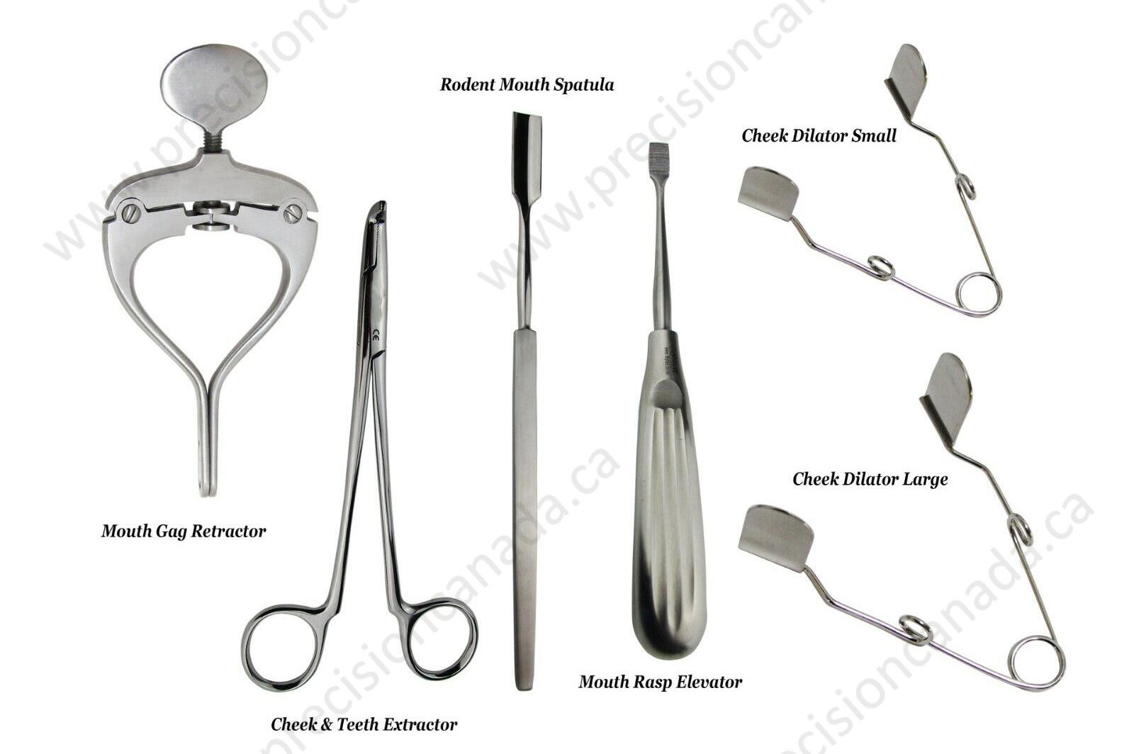 Rodent Dental Starter Kit