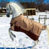 Precision Canada Horse Blanket Turnout Rug 350G