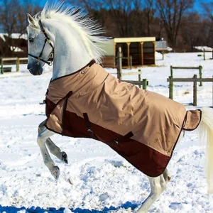 Precision Canada Horse Blanket Turnout Rug 350G