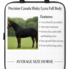 Lycra / Slinky / Spandex - Full Body Rug - Average Horse - Black